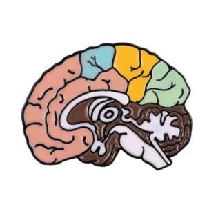 Cerebro perfil