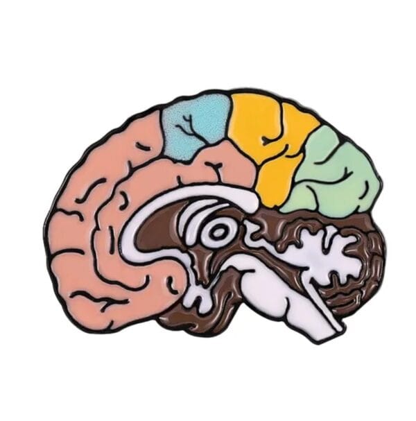 Cerebro perfil