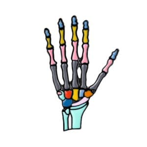 Huesos de la mano