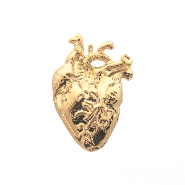 Corazón 3D anatómico