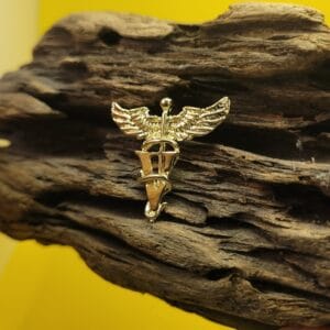 Veterinaria dorado