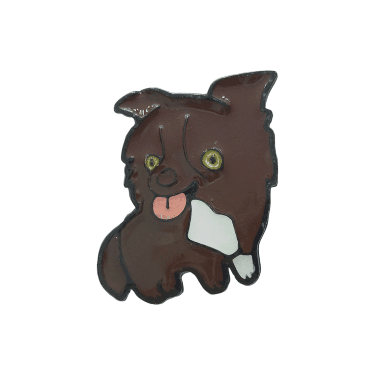 Border Collie negro