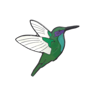 Colibrí
